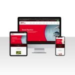 Sigorta Firması Web Sitesi Safu